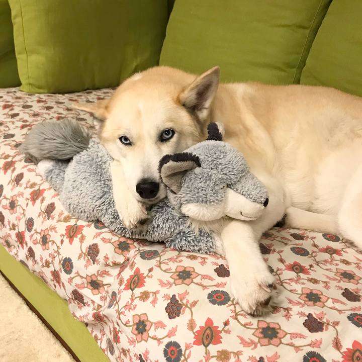 98e6ebcd d8e9 410c a3eb 077da771caca 1647489449372