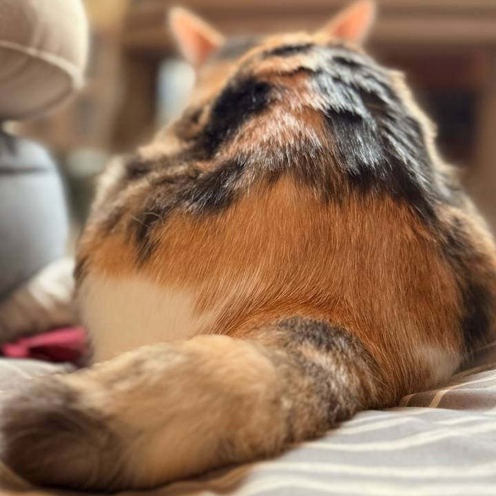 98e70eb1 e2d4 44d2 819b 8e9e0175330b 1757298477366