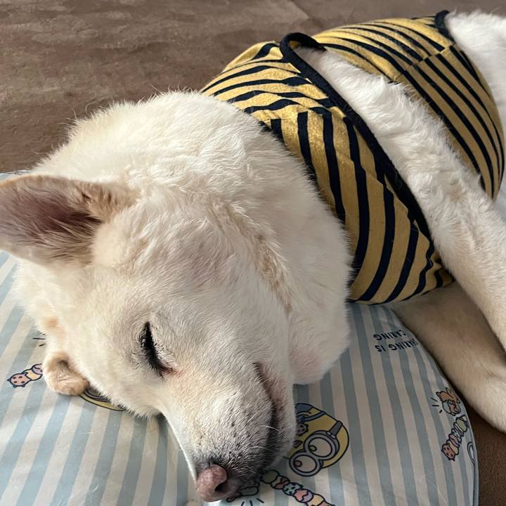 98e71a3d 11d7 4bab 9ddf 7d894346d08a 1767570312396