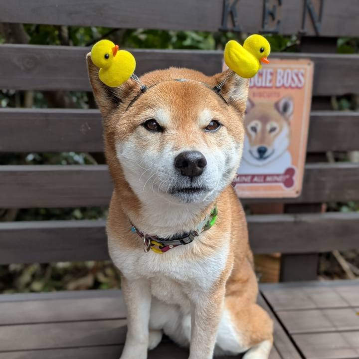 98e7223c 8b03 4036 9325 2cfbf1902c7c 1742087669053