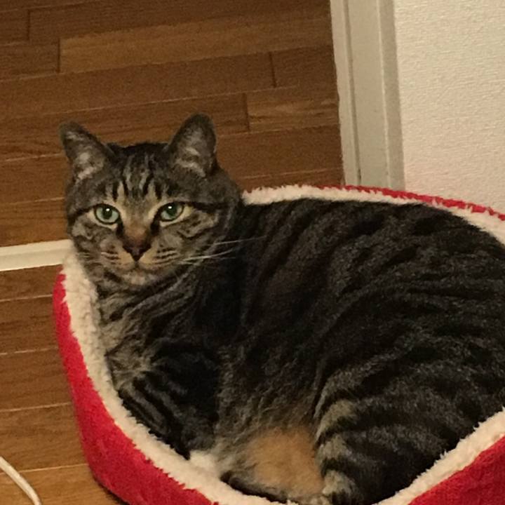 98e72e04 fa6c 4e78 bc57 0493df709f97 1521555623761