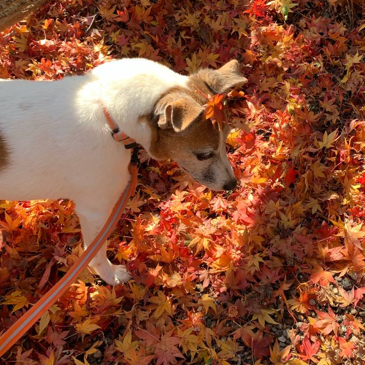 98e753f6 6630 41d1 963e 89b64c60ffb3 1605345719806