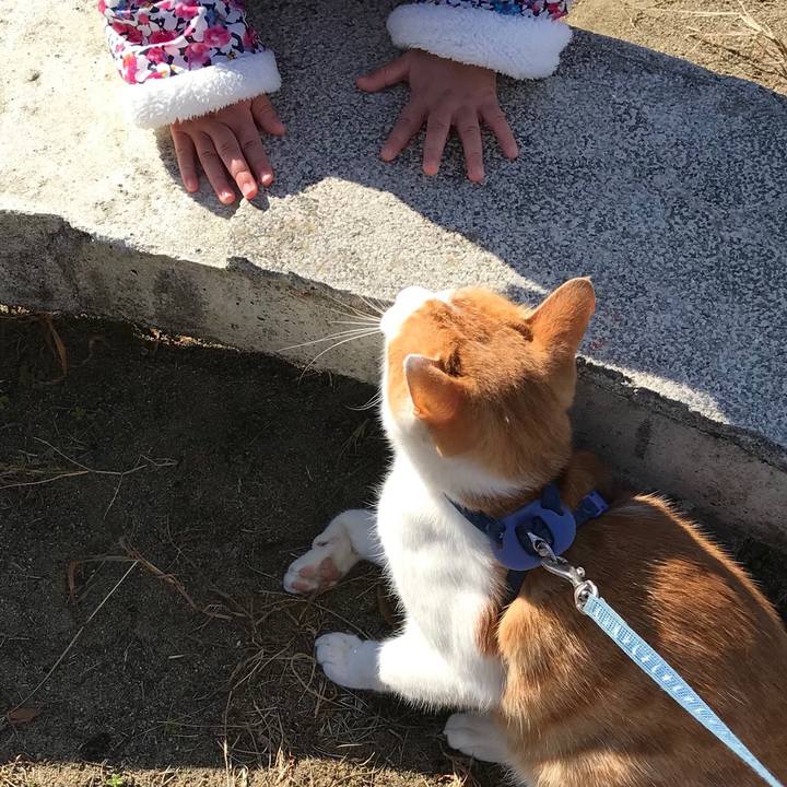 98e75eac 3472 4704 a05e 5c71898b0800 1512097184141