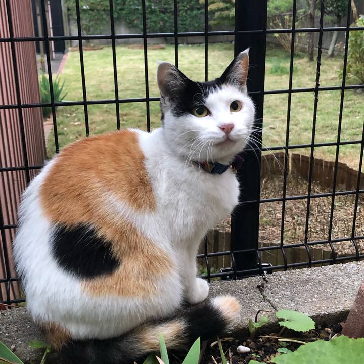 98e762f0 d9c7 4c68 9b0e ad23f0a7b2a8 1636582278324