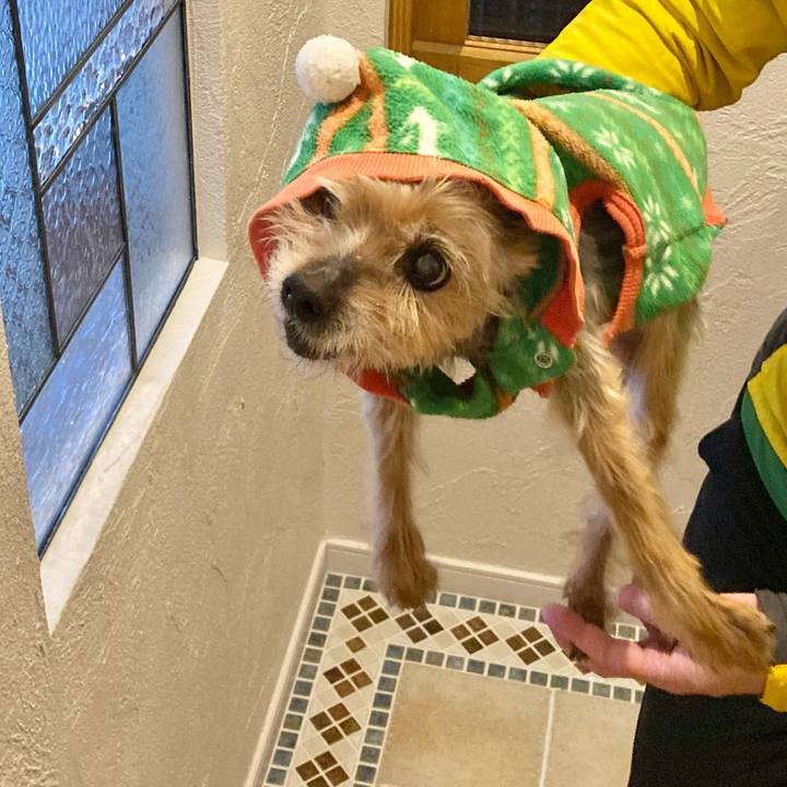 98e7e4c5 a843 44e4 8ff2 f6d4fe6e2b53 1697353257037