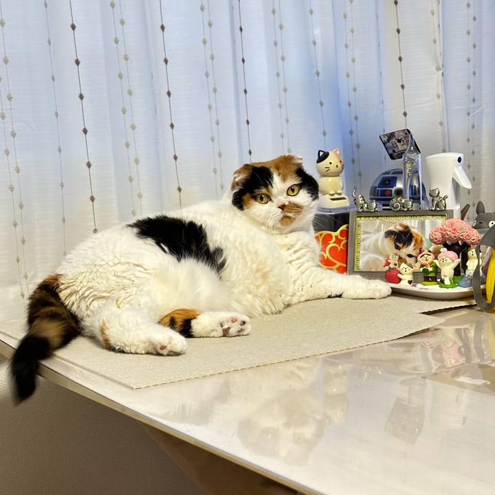 98e7e903 2d84 45d8 a22d 673e1c70165d 1713563858485