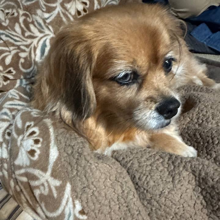 98e7ea51 978b 49de b9e2 319025654760 1731619316097