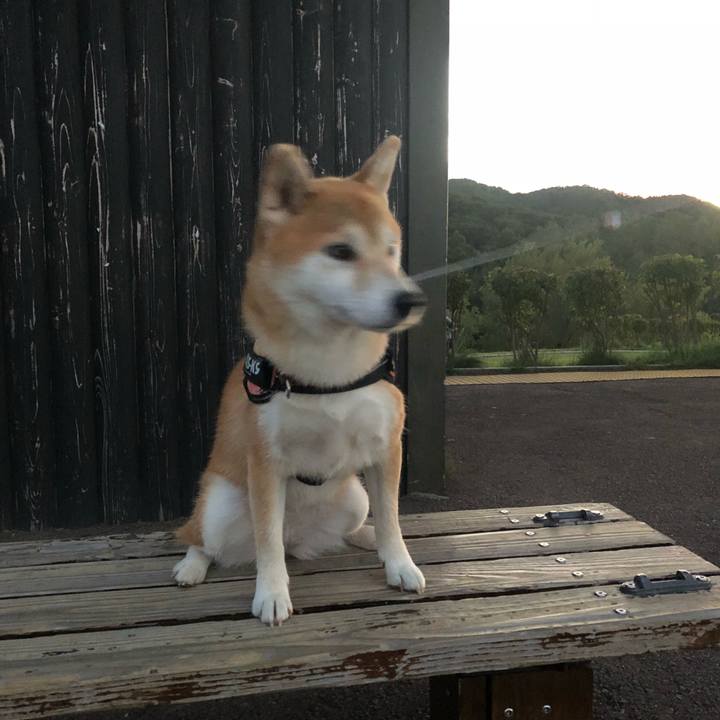 98e801de c3a3 447c b689 930eade4829d 1536413472094