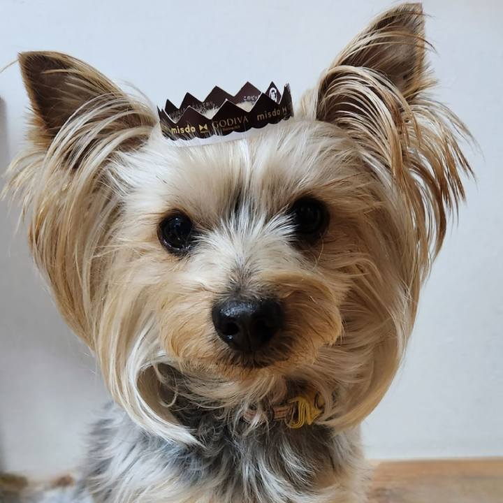 98e80815 cae0 4535 8ca3 53b049667ea8 1705214107413