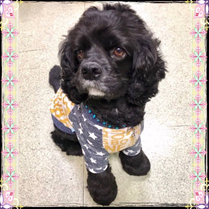 98e81d2f 7716 4953 aaba f28944e0eea3 1541420820472