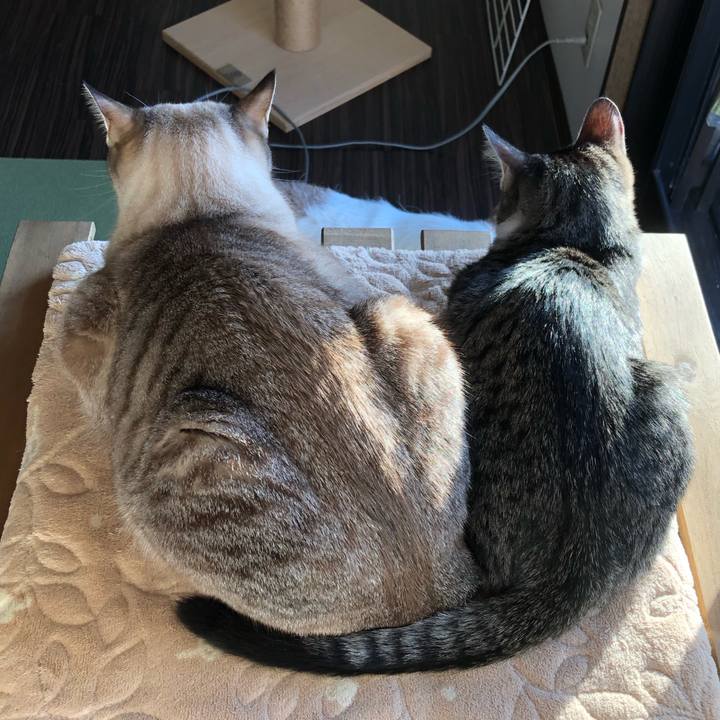 98e833cb 7368 4703 9392 75d5d5665e26 1639880992418