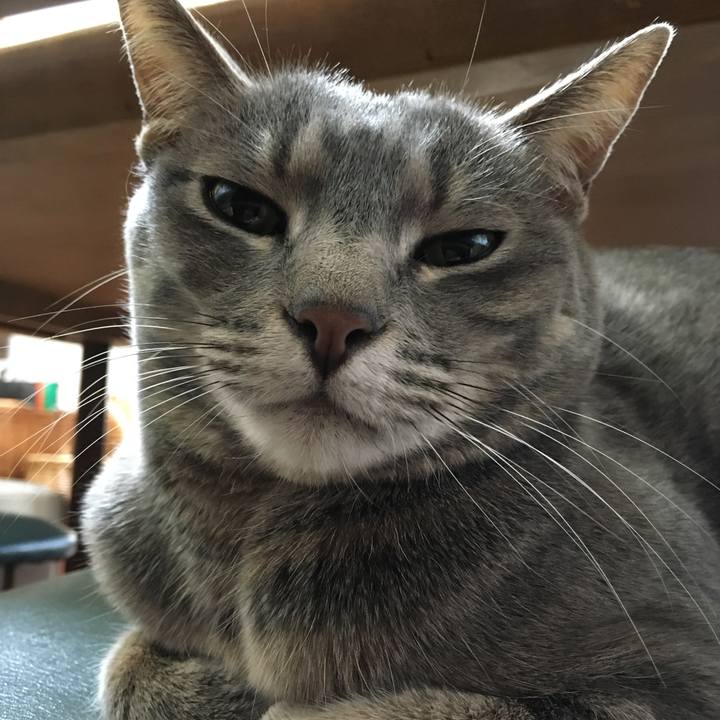 98e89af9 1048 42a1 bff0 db83d77f7b72 1581381836317