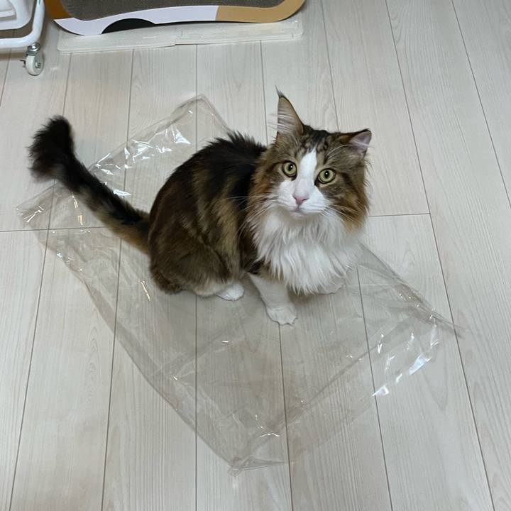 98e94c40 0980 4d5e 893f 57df18619083 1666612464383