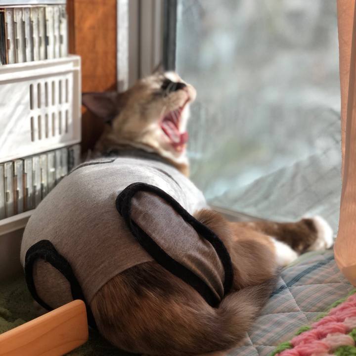 98e94f8b 8d49 4259 8452 e9183bbf990d 1665919292576