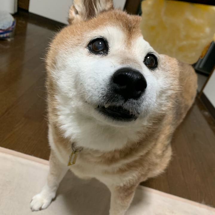 98e97c6b 1e30 4556 8095 868d3c6f4d31 1569061659947