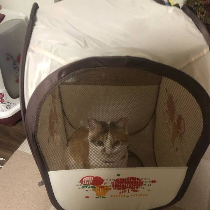 98e98ad3 f7bb 49ee 9b6c f1293f4a263b 1603205516563