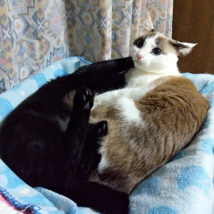 98e99ed6 21b4 4c98 a233 293c5bd65586 1584970283135