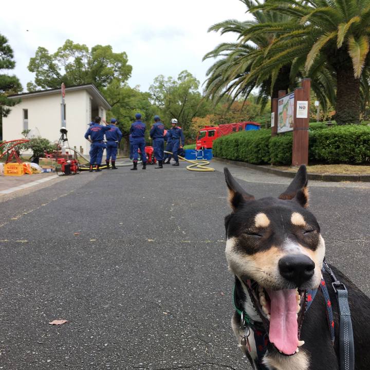 98e9c5aa 5bf9 4441 b73c aa4cbaed13c9 1508030996281