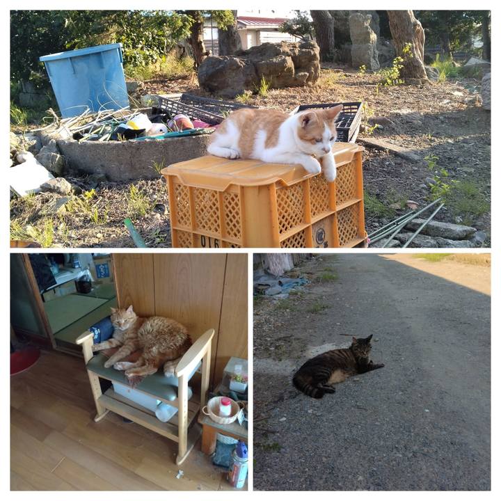 98e9cb35 9db6 458a b944 712226127618 1751099286566