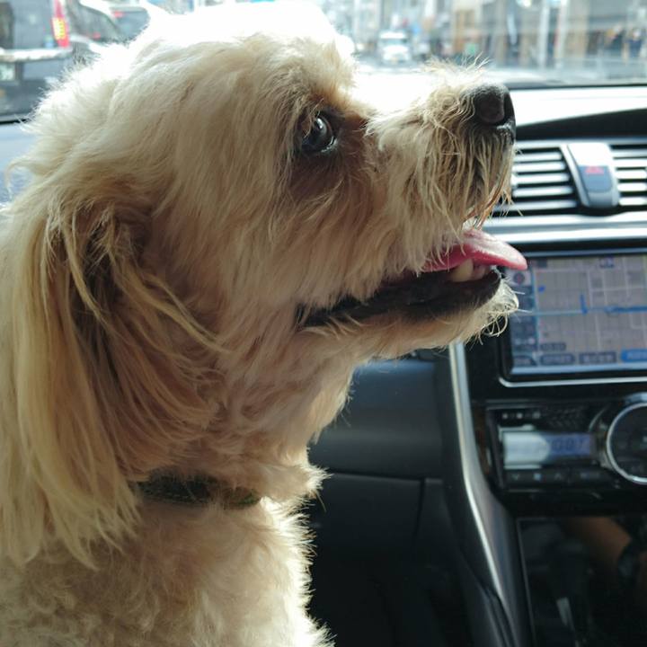 98ea2c55 6c09 4119 a04f 9287ee3fa4a6 1600567068010