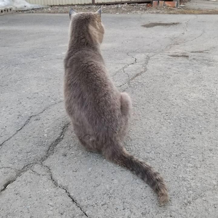 98ea64e2 6451 477d b464 e05f940fa4db 1522676392690