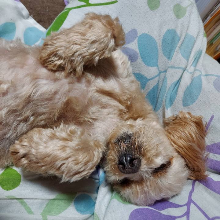 98ea7f77 ef45 46f8 b294 fc9ab3585b51 1653659648171