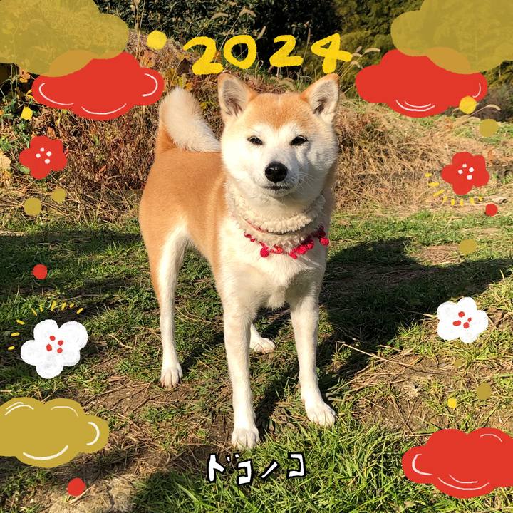 98ea9149 b7f8 49fb b494 a32fa2d955bd 1704095561682