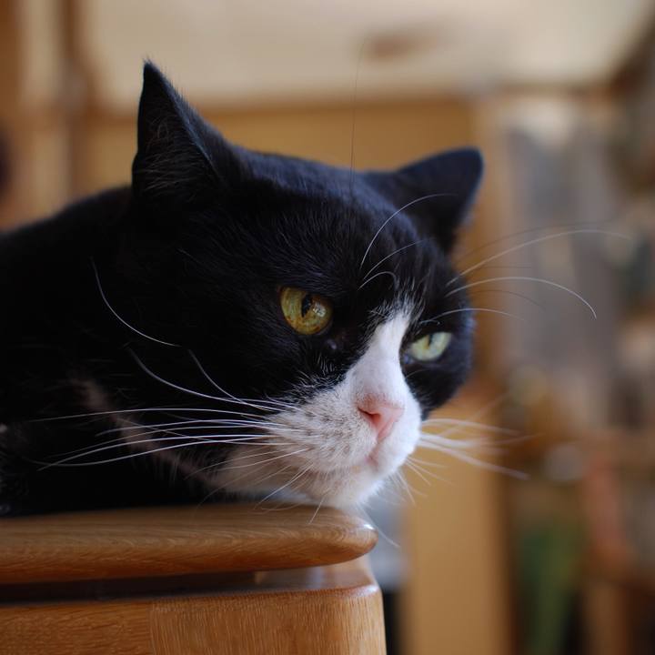 98eab503 e24c 4684 a9bb daaa1c62925d 1570260652651