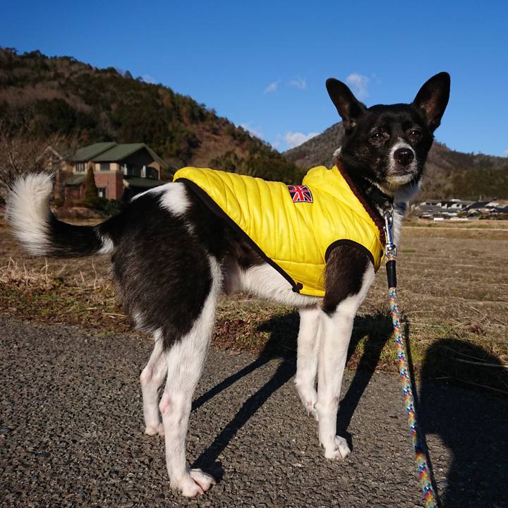 98eac068 c347 47d3 b76b 8e97a92358f8 1516757514889