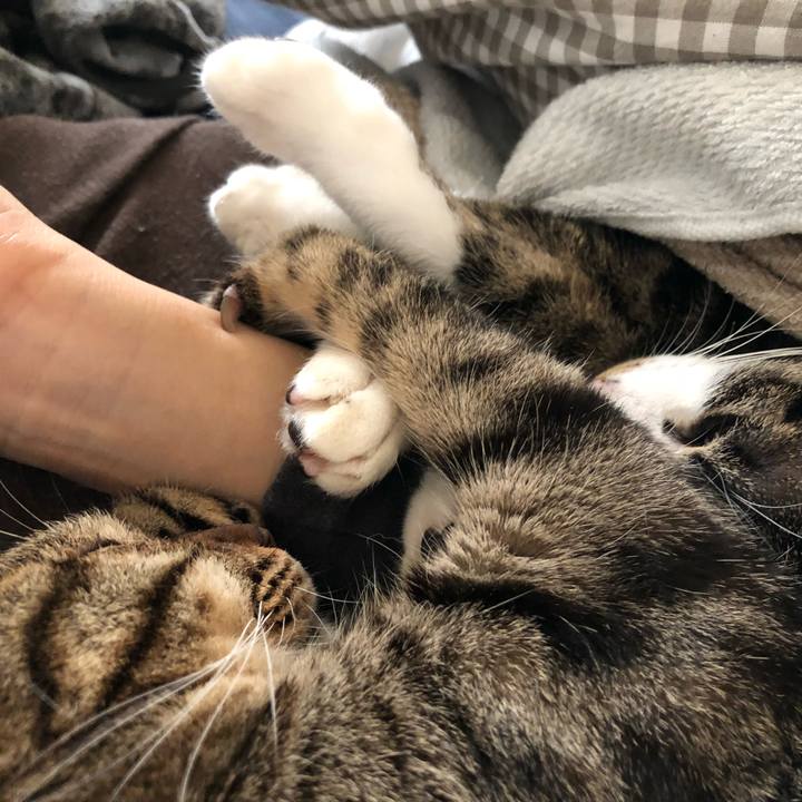 98eac9f1 bc1d 4faa 919f 42b255654ee8 1516071754930