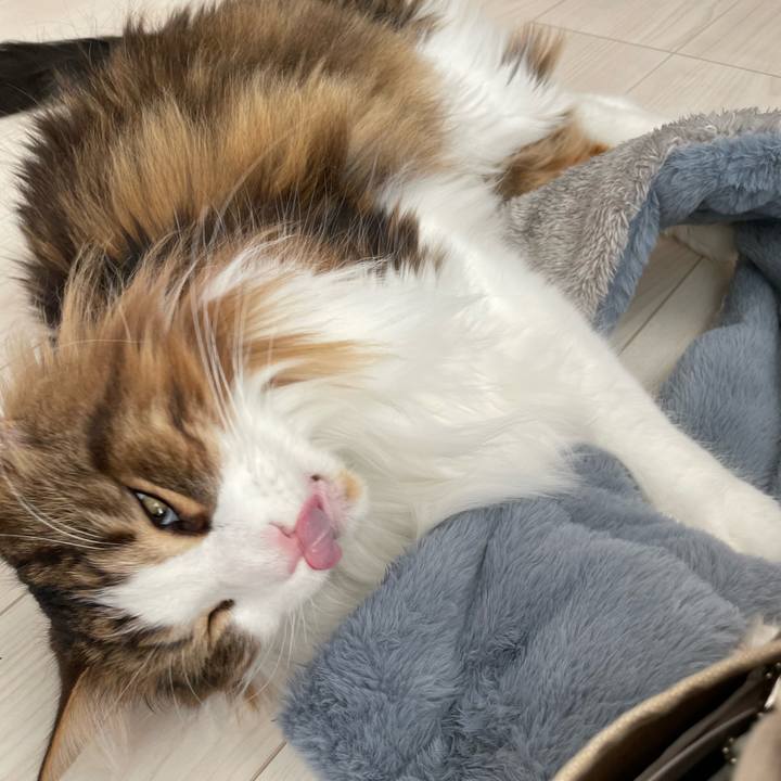 98eaee89 ebc6 4f31 b789 b3fbbd151ad2 1673142564502