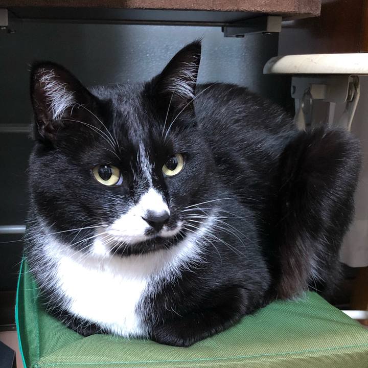 98eb398e 95be 4204 ab3c fa613a3ea884 1654573193263