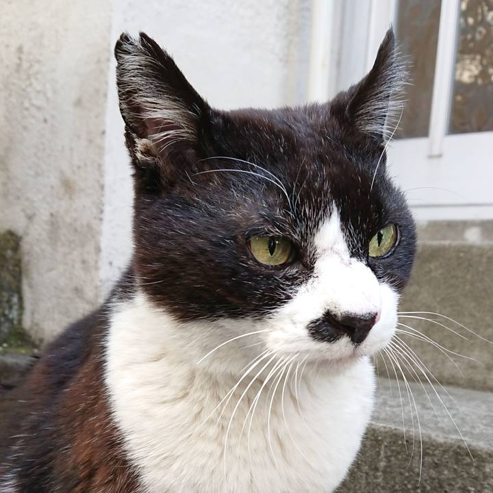 98ebf95b d09f 46cf 9c46 305c936718be 1616470421097