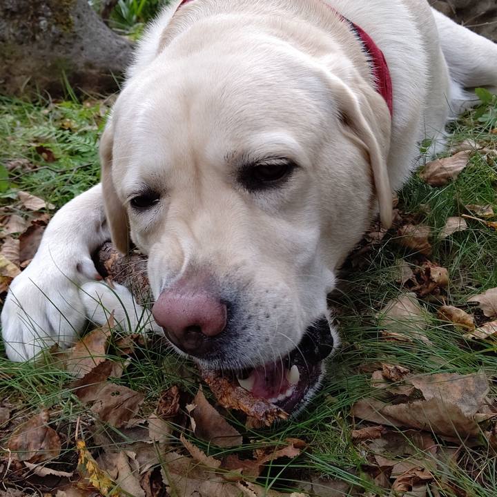 98ec2409 48bc 4b8e 9367 5a0ed8a3be2e 1601692667869