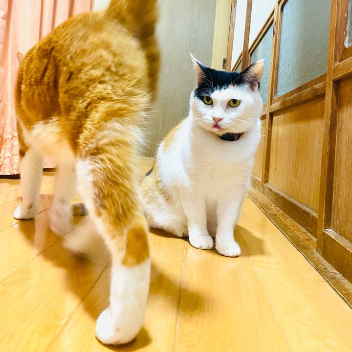 98ec6ae8 d515 4e25 9400 85e6cd76accd 1696251861947