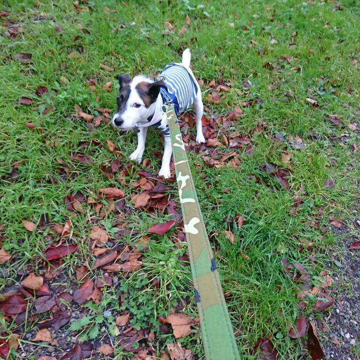 98ec8617 0ff3 43ca 9b89 7fa138f81a42 1510610186787