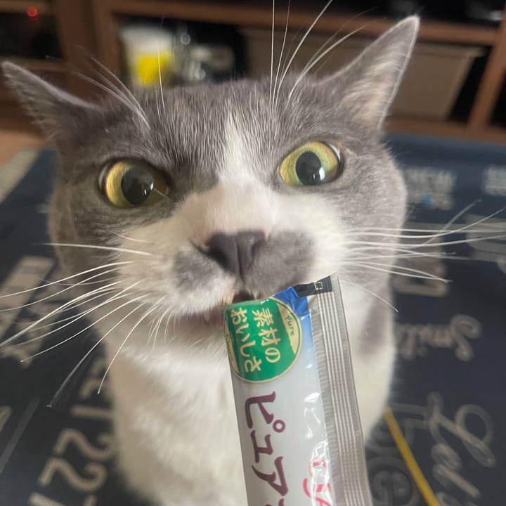 98ec9fac 6868 415c a9cc 494675841fb9 1721890102262