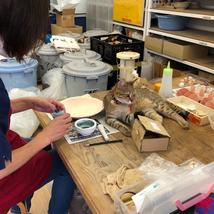 98ecaad1 af44 4671 b060 6f08f59917fe 1590813405308