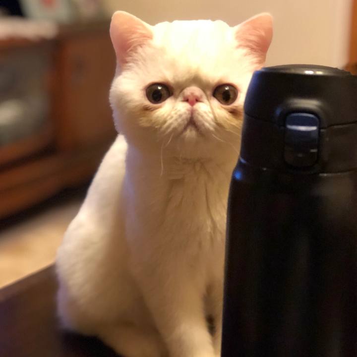 98ece75d 93a1 442b 852f 5e2cd498075b 1550836673795