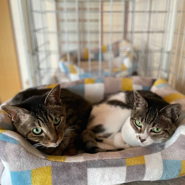 98ed5d9c 877c 4139 8949 59c5ab796b36 1622599753730