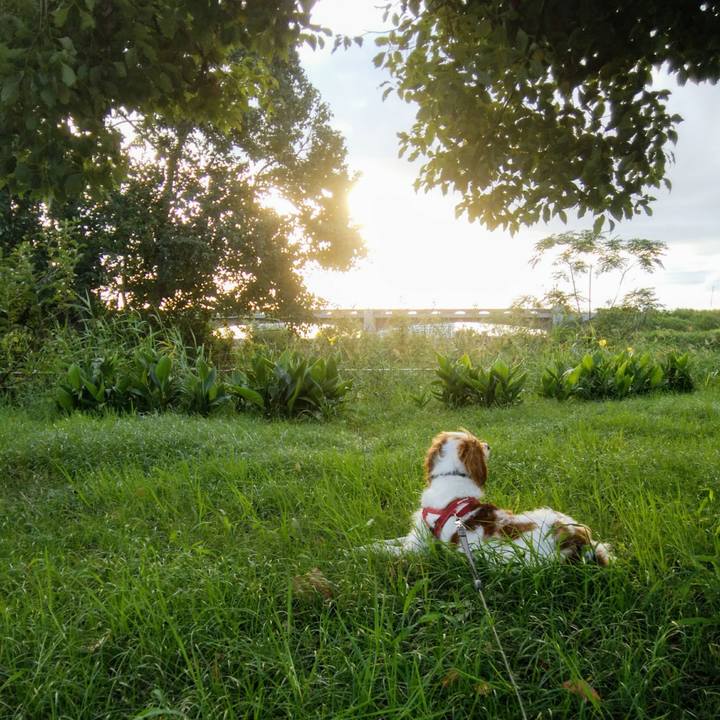 98ed7431 b456 42ae b63a e866c5e2a1d2 1537618277666