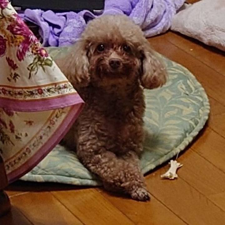 98ed7545 379e 4a83 b394 7bda5633606d 1733738752658