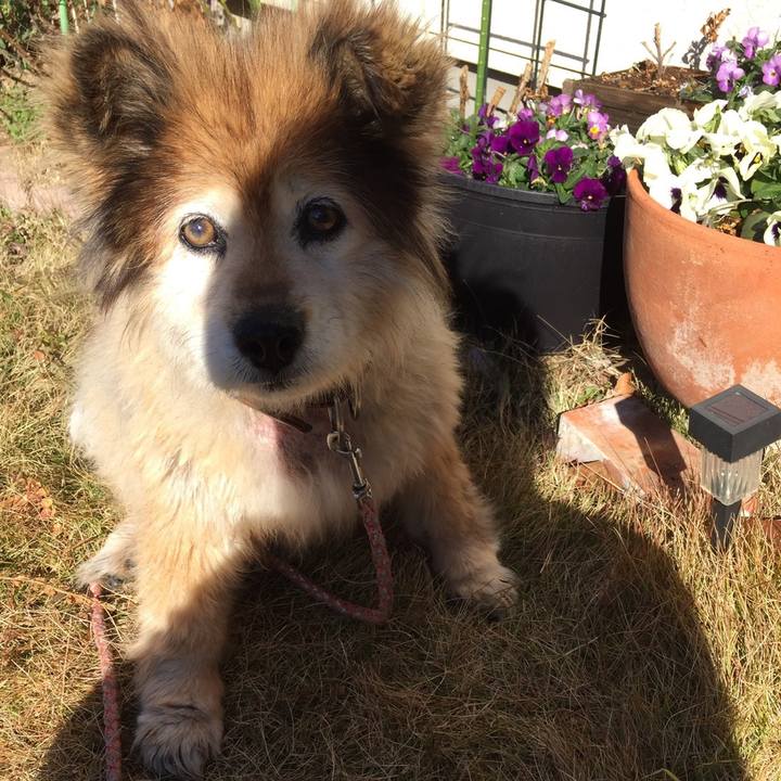 98ed82b8 ae15 4d99 8f3d 11c5bfbc3bbc 1563491166900