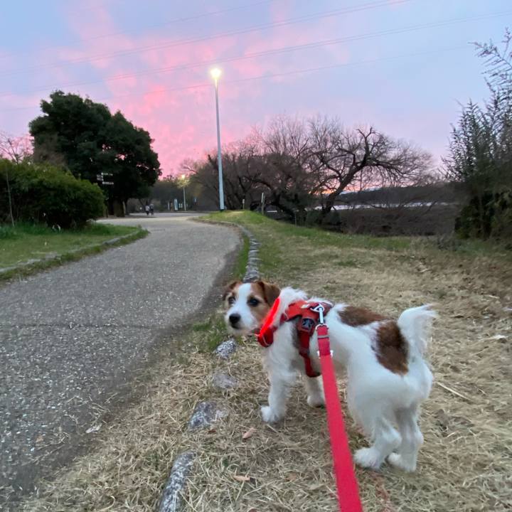 98edadf7 5fcd 411e bf28 6fa9c81102cd 1741857462447