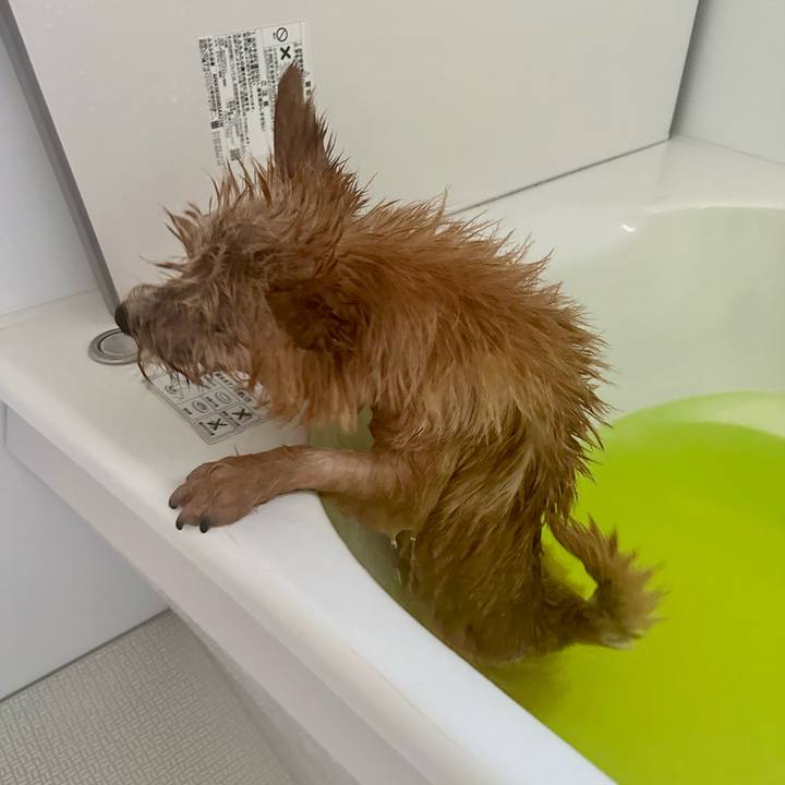 98edc10b 419c 4d6c 9ea3 9fa42bec203a 1713144710652