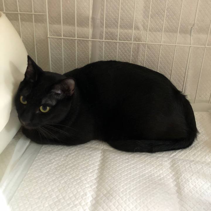 98edfca0 e22d 49eb 919a 54b1e81041d6 1659085339527