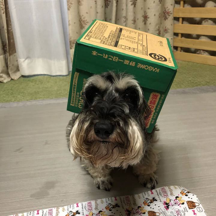 98ee2950 e216 43fd 92ce 116f8a3d289e 1563452939770