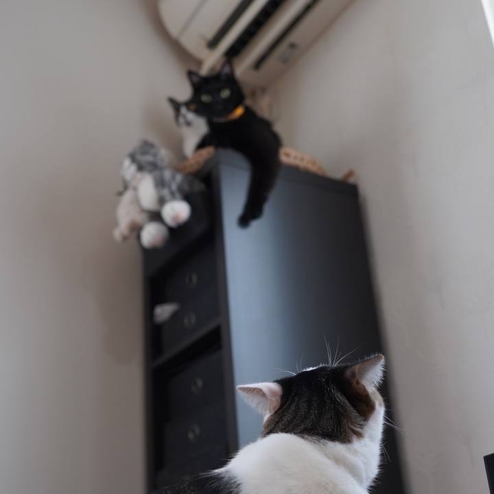 98ee33cb e89a 44dd b2c3 f2a6a49c4b16 1608507462018