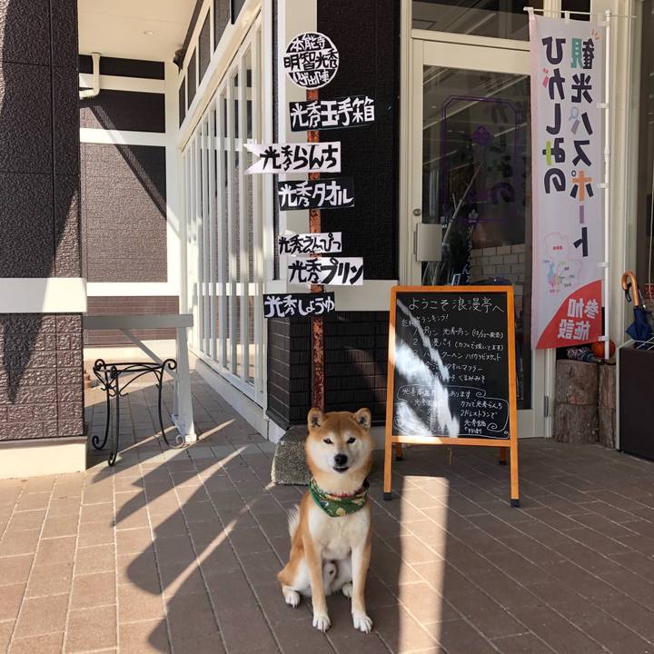 98ee37e1 fc27 411a 8396 ca44bd5f124f 1550910788008