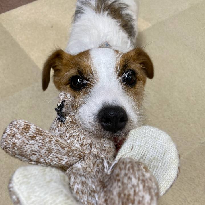 98ee4c6f d3ff 4a39 a592 25e752bce83f 1660441155508